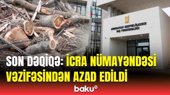 Zaqataladakı ağacların kəsilməsinə görə cinayət işi açıldı | Baş Prokurorluqdan açıqlama