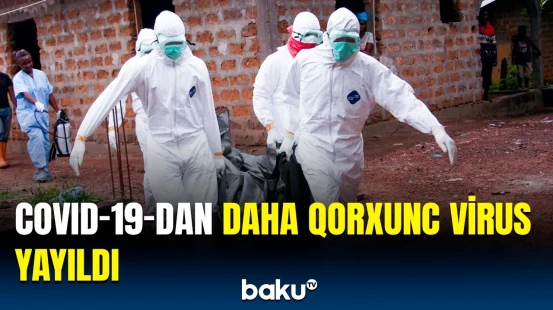 Bu heyvanın ətindən yeyənlər təhlükəli virusa yoluxur | Həkimlərdən xəbərdarlıq