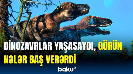 Asteroid yerə çırpılmasaydı... | Dinozavrlar barədə heyrətə gətirən araşdırma