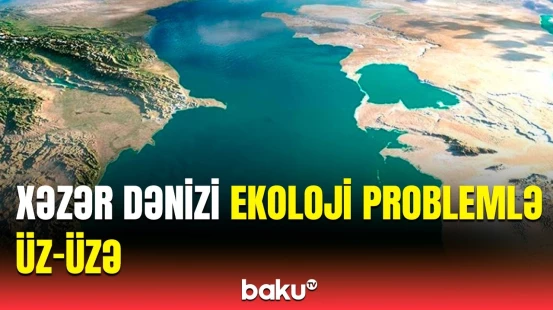 Suyun səviyyəsinin düşməsi nələr təsir edir? | Tariyel Mirzəyevdən açıqlama
