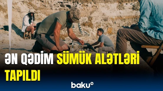 Hansı heyvanların sümüklərindən material kimi istifadə edildi | Tanzaniyada araşdırma aparıldı