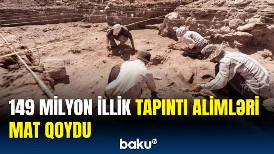 Bu canlılarla bağlı tapıntı gündəmə düşdü | Yeganə kəşfdir ki...