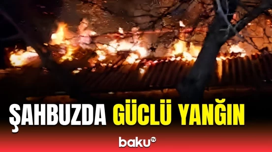 Şahbuzun Badamlı kəndində tövlədə yanğın | FHN hərəkətə keçdi