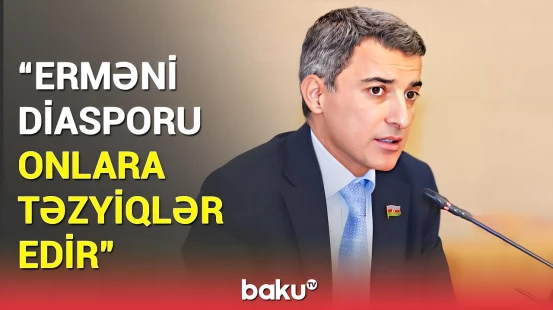 Onları işdən çıxarırlar ki... | Deputat erməni diasporunun təzyiqinə məruz qalanlardan danışdı