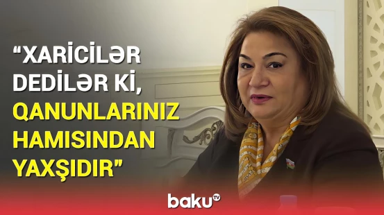 Milli Məclisdə ictimai qınaqdan danışıldı | Əsas məqsədimiz odur ki...