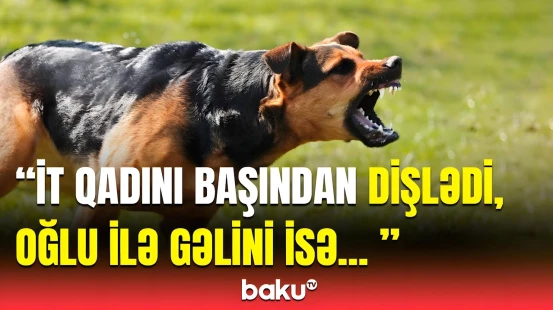 İt yaşlı qadına hücum etdi, sonra isə... | Qonşu dəhşətli hadisəni danışdı