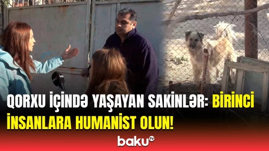 Qonşular çoxlu it saxlayan sakinlə mübahisə etdi | Bizi təhdid edir ki...