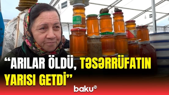 Satışa saxta bal çıxarılır? | Arıların azalmasının əsas səbəbi açıqlandı