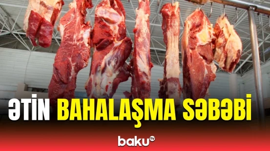 Tahir Rzayevdən heyvanların kəsilməsi ilə bağlı yeni təklif | Mənşəyi bilinməyən ətlərin...