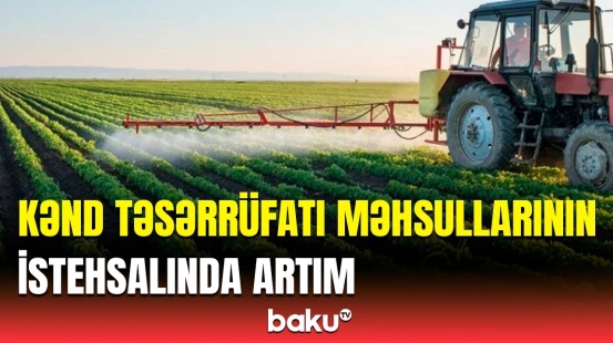 Keçən il fermerlərə nə qədər subsidiya verilib? | Tahir Rzayev rəqəmləri açıqladı