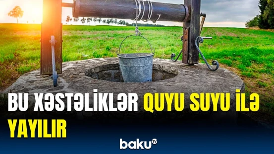 Quyu suyu niyə təhlükə saçır? - Elə istifadə edilməlidir ki...