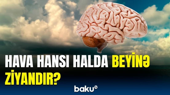 Hava niyə ağır xəstəliklərə səbəb olur? | Alimlər həyəcan təbili çaldı
