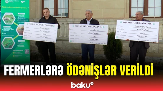 Təsərrüfat sahiblərinə tövsiyə | ASF-dən fermerlərə ödəniş verilməsi barədə açıqlama