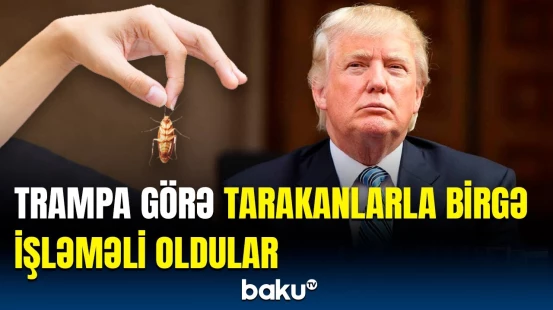 NASA-nı tarakanlar basdı, xaos yarandı | Trampın qərarından sonra...