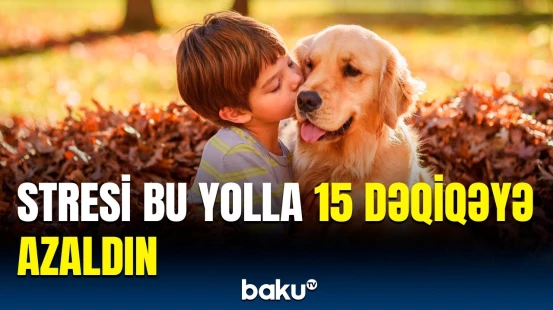 İtlərin insana faydası açıqlandı | Alimlərdən maraqlı araşdırma