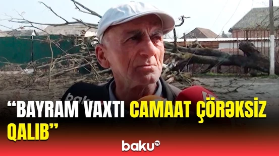 Dəfələrlə deyilib, amma baxmırlar... | Lənkəranda ağac aşdı, sakinlər çıxılmaz vəziyyətə düşdü