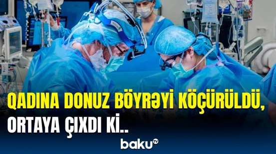 Dünya bu orqan köçürülməsindən danışır | İnsan donuz böyrəyi ilə yaşaya bilər?
