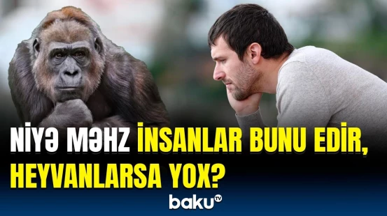 Alimlər insanlarla bağlı inqilabi kəşfə imza atdı