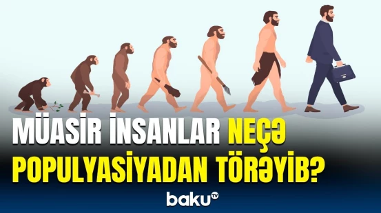 Ciddi genetik böhranla üzləşən populyasiya | Təkamülün gizli məqamı