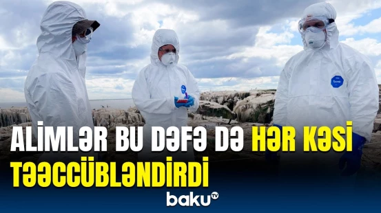 İlk insanlar barədə doğru bilinən bu məlumat yalan çıxdı? | Araşdırmanın detalları