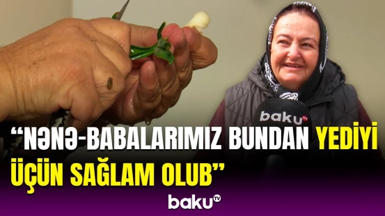 Laçının min bir dərdin dərmanı olan özünəməxsus bitkisi | Sakin danışdı