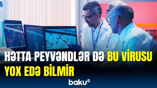 Daha bir təhlükəli virus yayıldı | Alimlərdən mühüm xəbərdarlıq