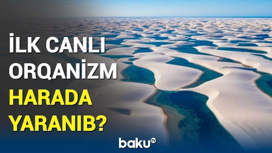 Alimlər “həyatın beşiyinə” bir addım daha yaxınlaşdı | Araşdırmanın nəticələri