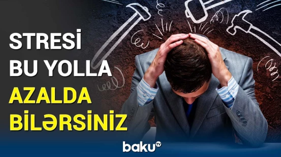 Stresin qarşısını hansı heyvanla almaq mümkündür? | Tələbələr arasında maraqlı təcrübə