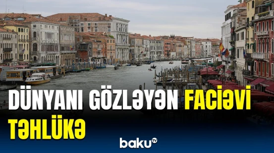 Hamıda qorxu yaradan tədqiqat | Bu tarixə qədər elə şeylər olacaq ki...