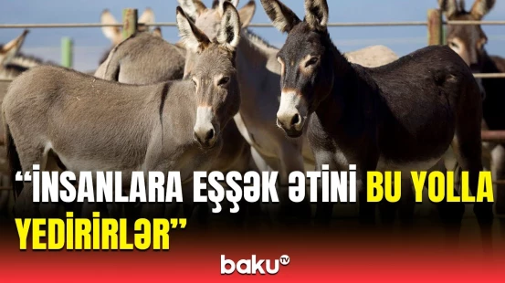 2 min uzunqulağın əti yeməklərə qatılıb? - Eyyub Hüseynovdan dəhşətə gətirən açıqlama