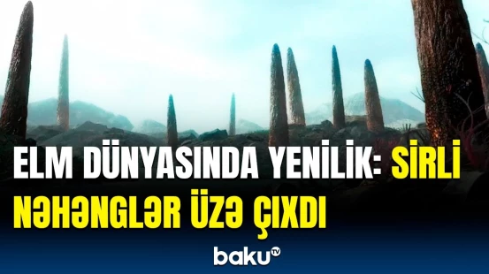 Alimlərdən təəccübləndirən kəşf | Tapılan yeni canlı növü barədə detallar