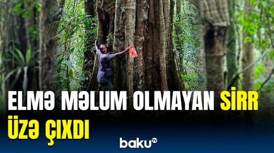 Alimlərin bu tapıntısı sübut etdi ki... | Təbiətlə bağlı heyrətləndirən kəşf