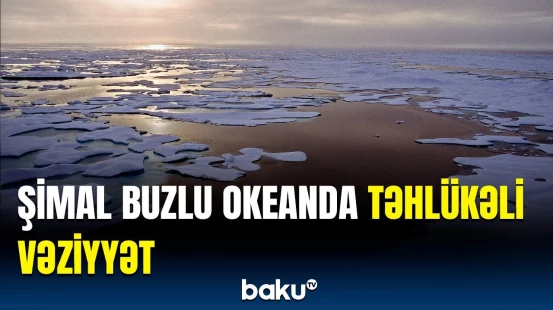 Bofort dənizində nə baş verir? | Alimlər həyəcan təbili çaldı