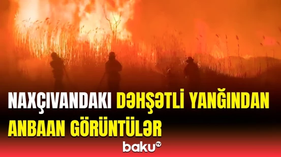 Naxçıvanda 5 hektar sahədə yanğın çıxdı | Qorxulu anlar yaşandı