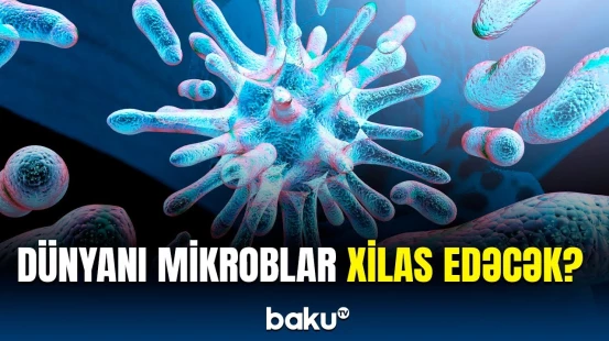 Alimlər mikroblara möhtac qaldı | Qlobal problemlərin çarəsi onlarda imiş?