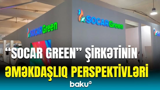 Çinli tərəfdaşlarla dəniz küləyindən istifadə imkanlarını araşdırırıq | Elmir Musayev