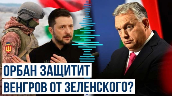 Виктор Обран о мобилизации в ВСУ закарпатских венгров