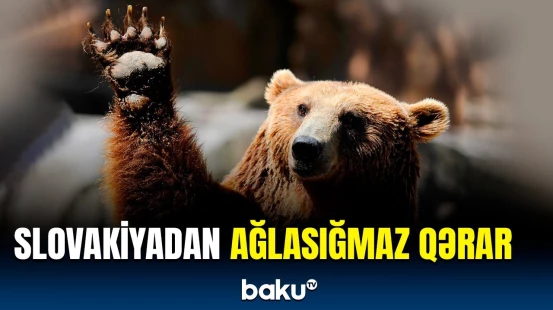 Slovakiyanın Baş naziri görün hansı qərarı verdi | Belə ölkədə yaşaya bilmərik…