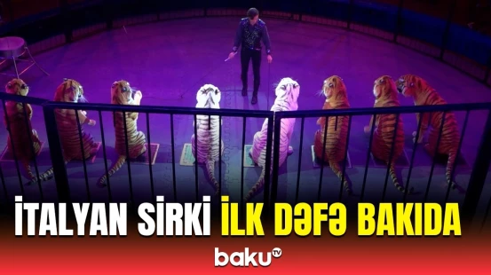 Bakıda möhtəşəm beynəlxalq sirk şousu təşkil olunub