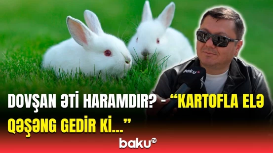 Eşşək əti kimi... | İslamda dovşan əti ilə bağlı qadağa var