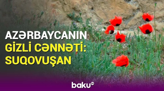 Rəssam tablosu kimi mənzərə | Suqovuşandan heyrətə gətirən görüntülər