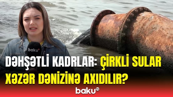 "Sədərək” və "Binə" ticarət mərkəzinin rəsmiləri məsələyə belə cavab verdi | Monitorinqin nəticələri