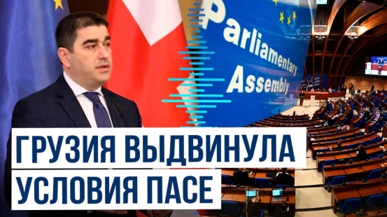 Папуашвили об участии Грузии в работе Парламентской ассамблеи Совета Европы