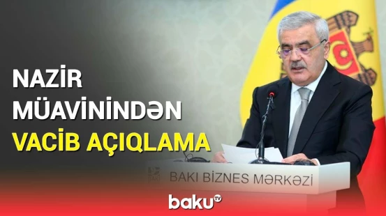 Azərbaycanda neçə Moldova şirkəti fəaliyyət göstərir? | Rəqəm açıqlandı