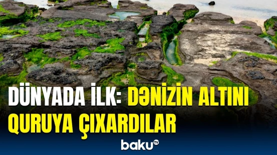 Beləsi hələ olmamışdı | Dünyaya səs salan hadisə necə baş verdi?