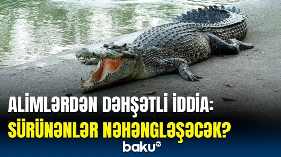 2200-cü ilədək heyvanlar aləmində nələr baş verəcək? | Alimlərdən maraqlı araşdırma