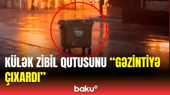 Külək zibil qutusunu görün necə apardı | Anbaan görüntülər