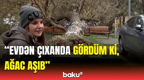 Yaxşı ki, camaata ziyan vurmayıb... | Güclü küləyin paytaxtdakı fəsadları