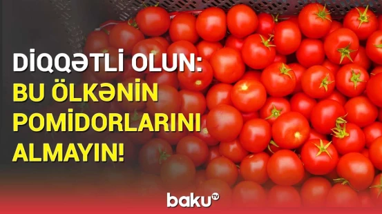Bu ölkənin pomidorunda virus aşkarlandı | Məhsulla bağlı qurum təcili hərəkətə keçdi