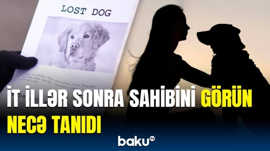 İt 5 il sonra sahibini görən kimi bunu etdi | Öldüyünü düşünürdülər, amma...